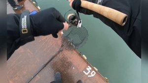 Бешеный клев в Бисерово. Ловля спортивной форели - 19 поимок на 3 приманки!