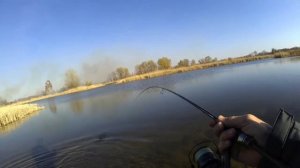 ТРОФЕЙНАЯ ЩУКА на УЛЬТРАЛАЙТ. ФРИКЦИОН ДЫМИЛ . РЫБАЛКА на МИКРОДЖИГ ОКУНЬ Azura X-Game