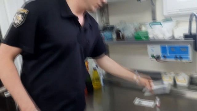 Тарутино. Гуманный метод решения проблемы бродячих собак. смотреть онлайн