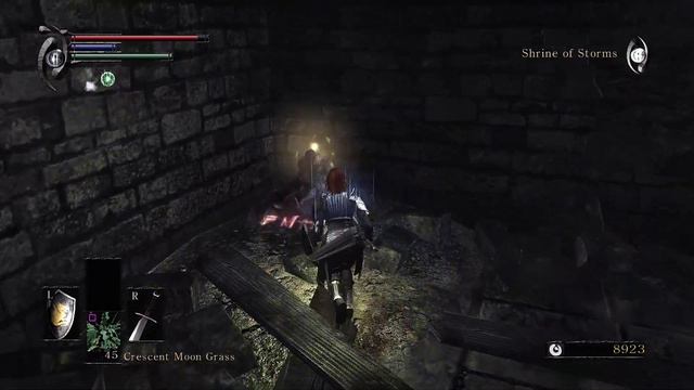 Demon's Souls on RPCS3 with online/mods - 4-1 Shrine of Storms смотреть онлайн