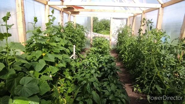 Хорошее УТРО ? Что за муж?♀️ Семья в деревне смотреть онлайн