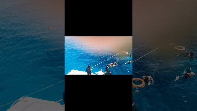 ЕГИПЕТ. 17.04. ШАРМ ЭЛЬ ШЕЙХ. ПОЛНОЕ ВИДЕО ЭКСКУРСИИ РАС МОХАММЕД. смотреть онлайн