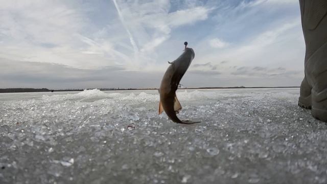 РЫБАЛКА ПО ПОСЛЕДНЕМУ ЛЬДУ 2023.ОКУНЬ НА ЛЕСНОМ ОЗЕРЕ ПРОСТО СОШЁЛ С УМА - КЛЮЁТ НА КАЖДОЙ ПРОВОДКЕ смотреть онлайн