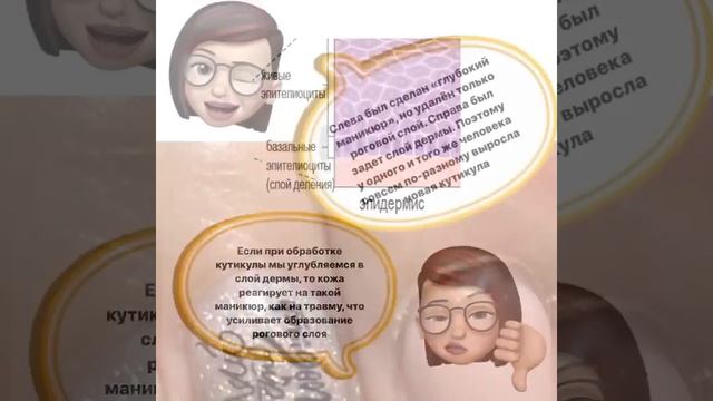 Маникюр и строение кожи смотреть онлайн