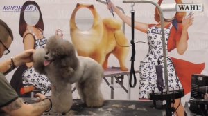 Стрижка пуделя. Роман Фомин. Мастер-класс по грумингу