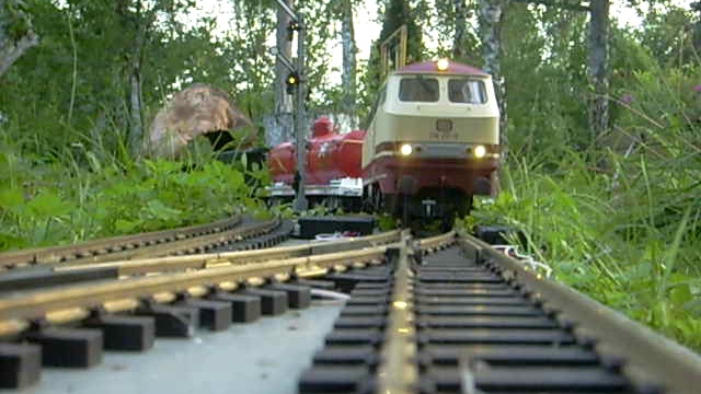 Грузовой на садовой дороге