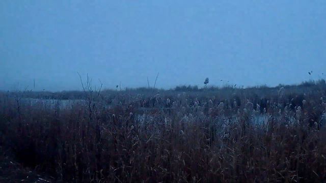 Неожиданный трофей смотреть онлайн