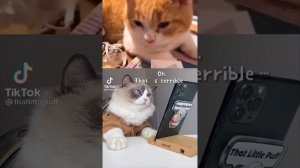 40 Min "That Little Puff" Tiktok Compilation