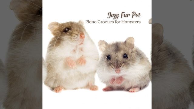 Groovy Hamster Swing смотреть онлайн