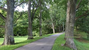 Раисат Курбанова - Крепкая любовь 2023