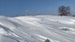 Нива на гусеницах установка и тест драйв