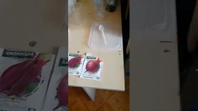 Микрозелень. От помещения до растения! смотреть онлайн