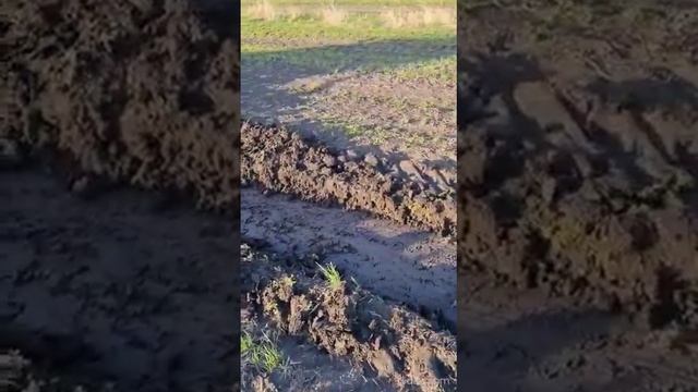 Лесной плуг ПКЛ-70Д Леспромресурс нарезает борозды под посадку голубики смотреть онлайн