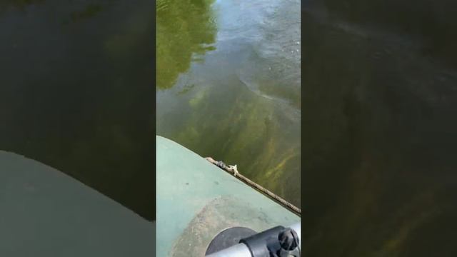 Крупный голавль #рыбалкалетом смотреть онлайн