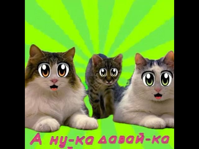 А ну-ка Давай-ка. Питомцы #анукадавайка смотреть онлайн