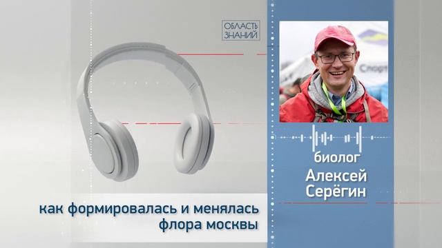 Как формировалась и менялась флора Москвы. Лекция биолога Алексея Серёгина смотреть онлайн