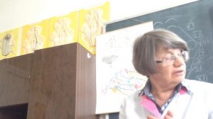 Пути кожного и двигательного анализатора