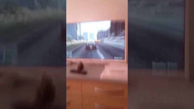 Vrideo gta5 смотреть онлайн