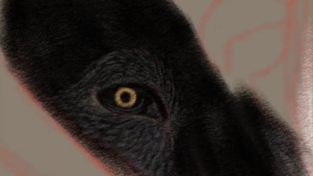 Как нарисовать черного волка часть 1. Autodesk sketchbook смотреть онлайн