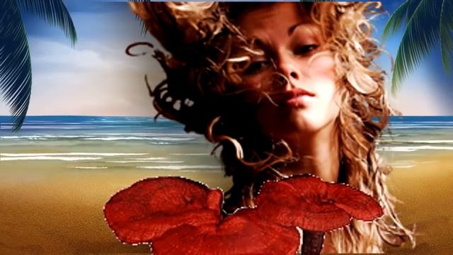 Программы по уходу за лицом g beauty профессиональная косметика