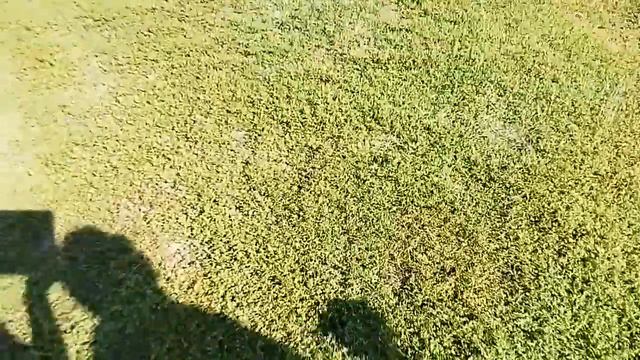 СТРАУСИНАЯ ФЕРМА!!!!!! смотреть онлайн