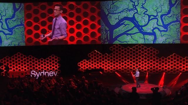 Mathematics is the sense you never knew you had | Eddie Woo | TEDxSydney смотреть онлайн