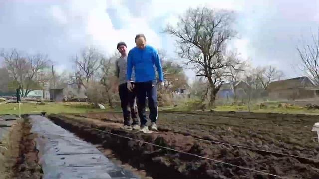 Как сделать Бугры для клубники своими руками? Всё по порядку) смотреть онлайн