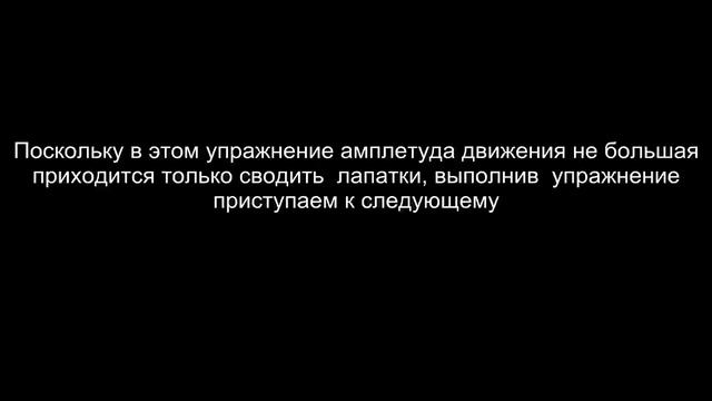 Training HD/КАК НАКАЧАТЬ ТРАПЕЦИЮ(СИЛА И МАССА) смотреть онлайн