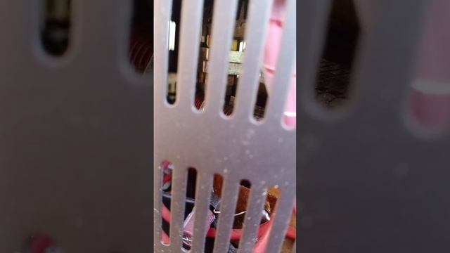 Работа Ресанта АСН-8000/1-ЭМ часть 2 смотреть онлайн