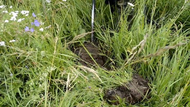 Жесть!!!Деньги под Ногами!!!Тракторный СТАН!!!МеталлоПОИСК!!! смотреть онлайн