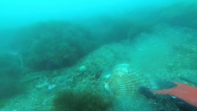 Очередное утро субботы началось у воды смотреть онлайн