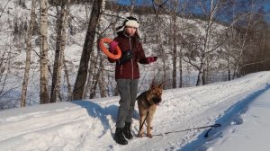 Какие КОМАНДЫ знает моя НЕМЕЦКАЯ ОВЧАРКА ?  Обучение Собаки