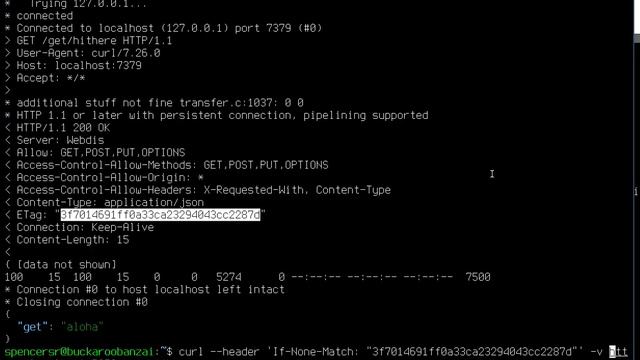 Web Application Session/Data Caching: Using ETAGs and an intermediate to keep data fresh смотреть онлайн