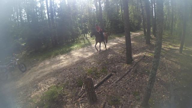 Покатушки SSSR Atom 125 BSE Edition & Kawasaki KX 85 (6) 24.08.2019 смотреть онлайн