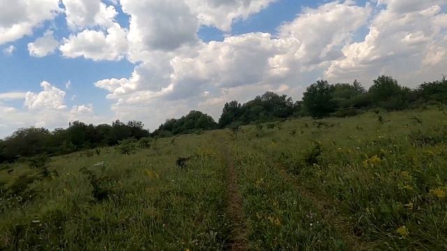 Велопоход на Лесное Озеро с сыном. Ставрополь. смотреть онлайн