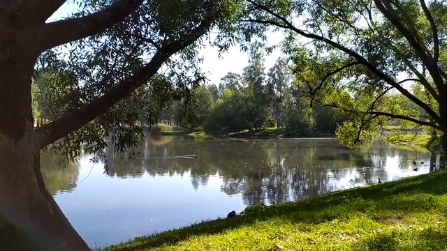 Конечная цель любых видов йоги и медитации | просто О ГЛАВНОМ смотреть онлайн