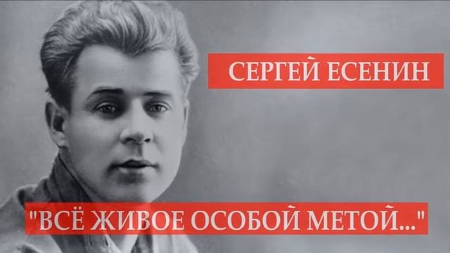 Все живое особой метой - Есенин С. А - муз Михаил Оводов смотреть онлайн