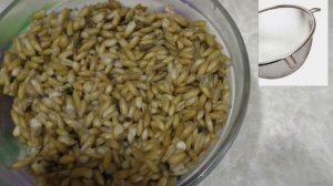 Секреты приготовления Овса в Шелухе