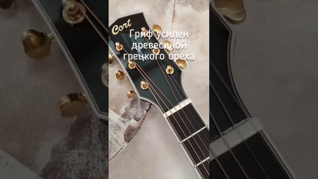 Cort Gold-D8-LB санберст с чехлом - одна из самых выбираемых покупателями гитара ЦЕЛИКОМ из массива смотреть онлайн