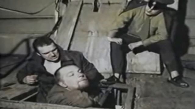 Генерал вперёд собаки, к победе! L Зелёный слоник