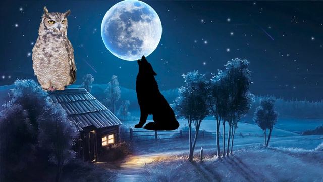 wolves howling sound, wolf sound, owl hooting, owl sound, смотреть онлайн