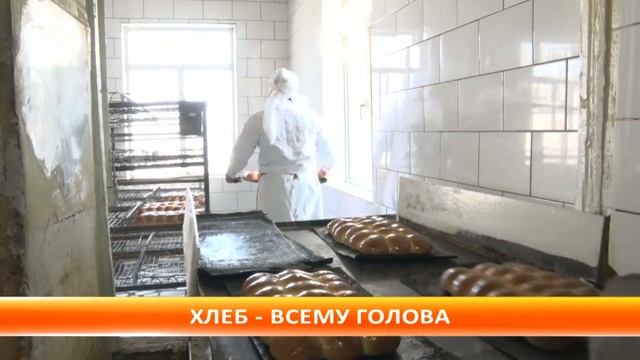 На юге страны прогнозируют увеличение производства пищевой продукции смотреть онлайн