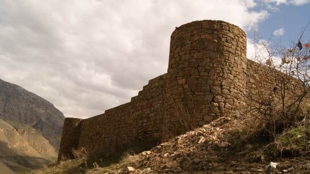 Встречаются только в Армении. 10 уникальных животных