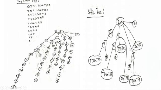 Suffix Tree in Bangla || Genome Indexing (Suffix Tree) смотреть онлайн