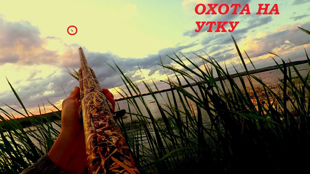 ОХОТА НА УТКУ 2020!!! ОХОТА НА УТКУ С МАНКОМ. ОХОТА НА УТОК 2020 / MAX HUNTER смотреть онлайн