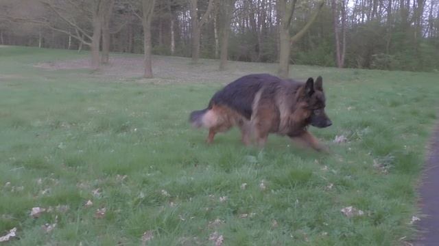 Panasonic HC-V770 - Slowmotion & HDR (High) Test смотреть онлайн