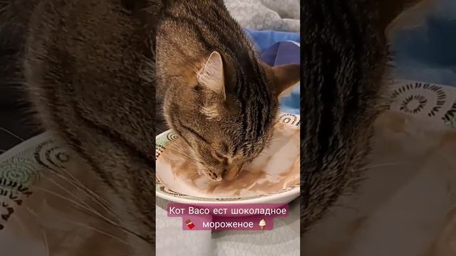 Васо любит мороженое.mp4