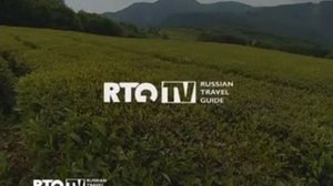Краснодарский чай