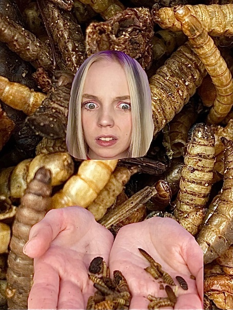 Ем тараканов ?