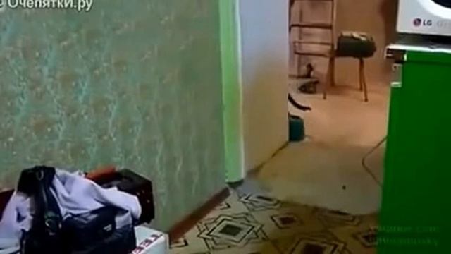 Хозяйка, тебя к телефону! смотреть онлайн